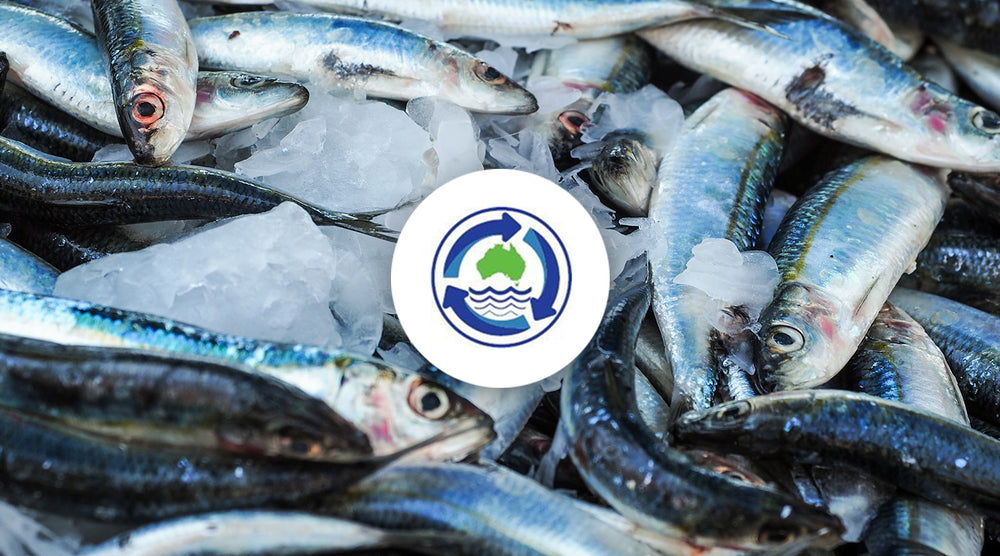 AMRA's Significant Contribution: Steering Circular Economy Solutions for Seafood Industry